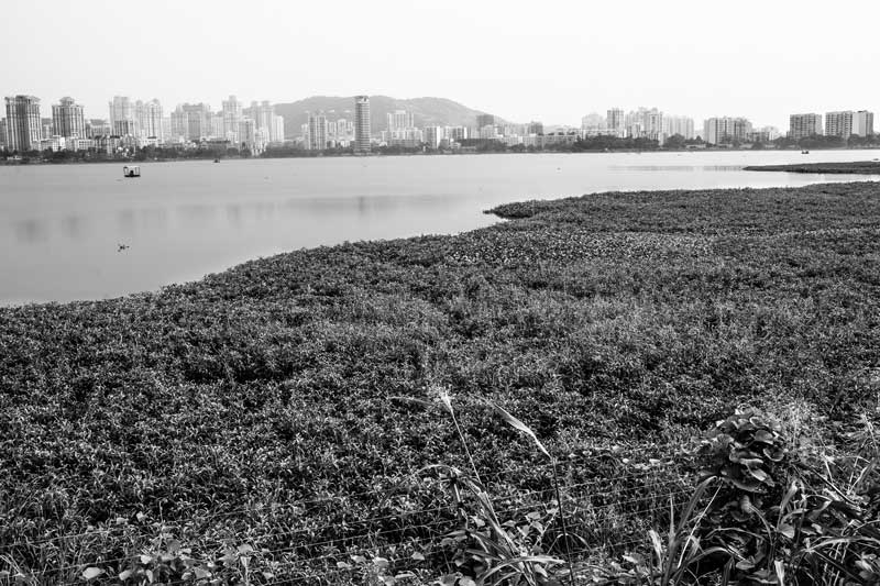 Integrated Solution for Urban Drinking Water Challenges - Powai Lake, the encroached and highly contaminated former water supply source for Mumbai, Maharashtra